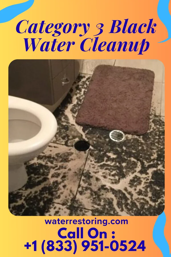 Category 3 Black Water Cleanup in Chillicothe, TX